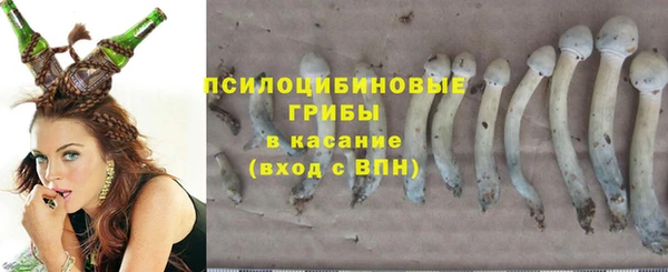 винт Алзамай