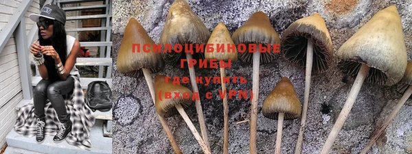 spice Алексеевка