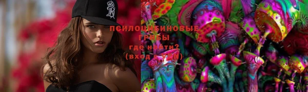 винт Алзамай