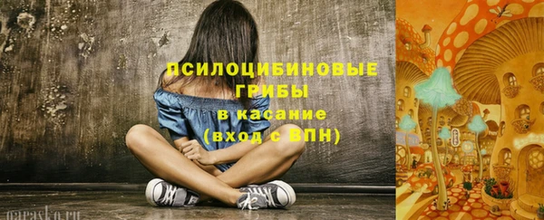 spice Алексеевка