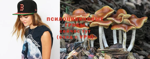 винт Алзамай