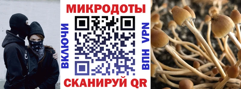Галлюциногенные грибы мухоморы  Осинники 